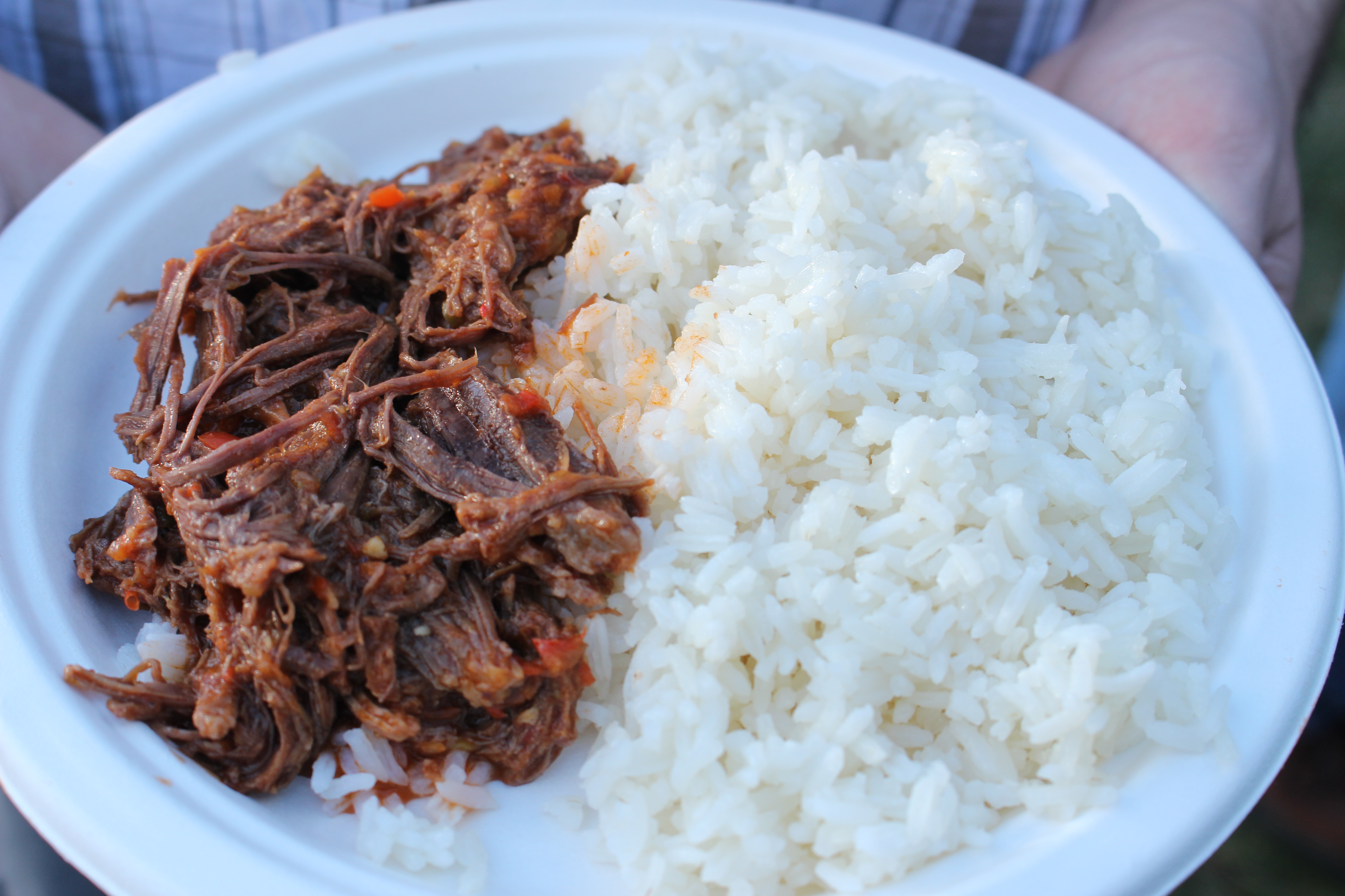 Rice with shredded beef