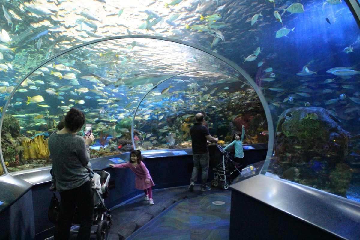 Ripleys Aquarium of Canada Toronto
