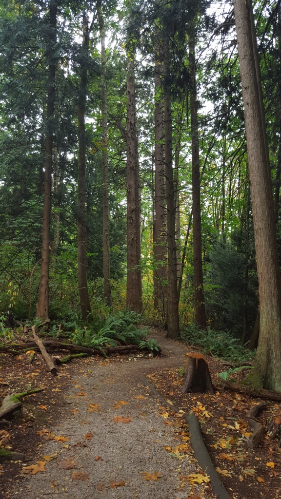 redwood park